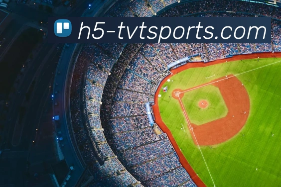 体育下注平台生态图