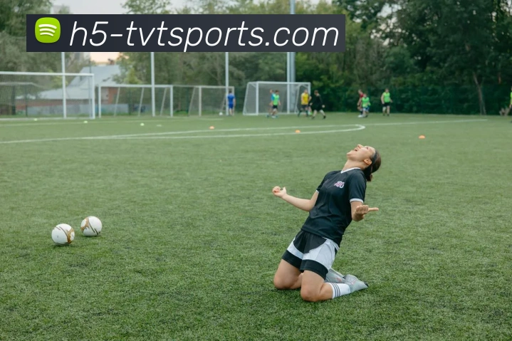 体育下注APP 封面图