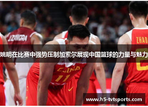 姚明在比赛中强势压制加索尔展现中国篮球的力量与魅力