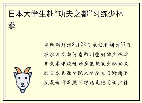 日本大学生赴“功夫之都”习练少林拳